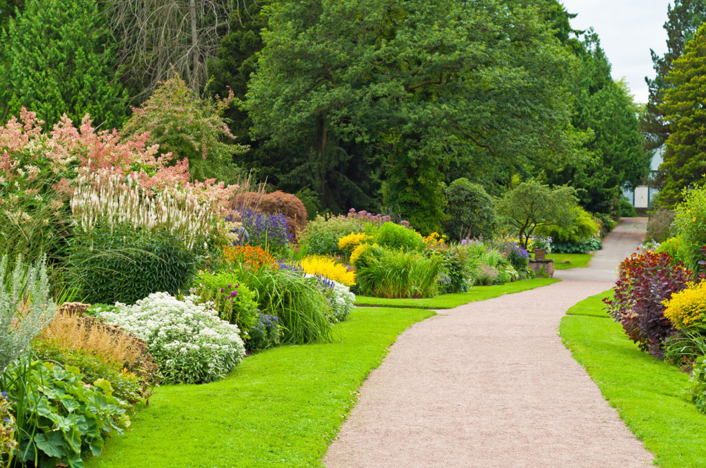 Lovely garden with full blooms and a footpath